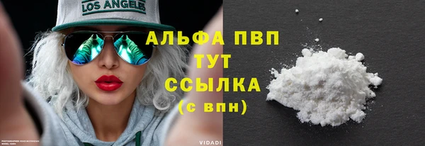 ГАЛЛЮЦИНОГЕННЫЕ ГРИБЫ Белокуриха