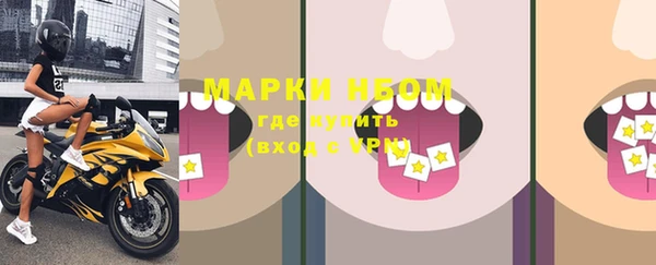 ГАЛЛЮЦИНОГЕННЫЕ ГРИБЫ Белокуриха