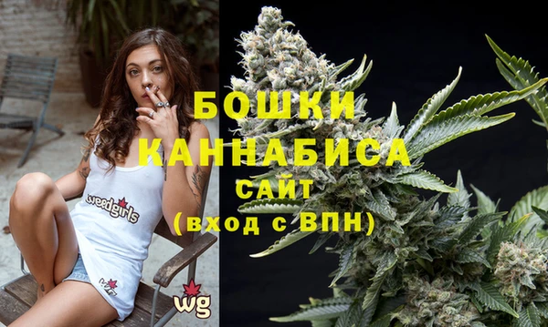 ГАЛЛЮЦИНОГЕННЫЕ ГРИБЫ Белокуриха