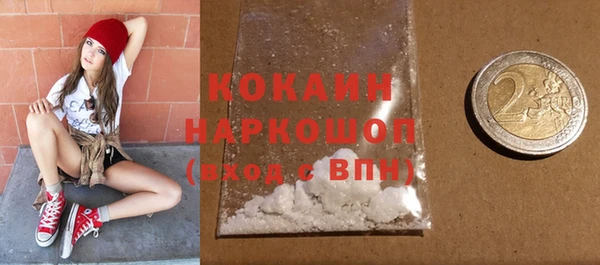 ГАЛЛЮЦИНОГЕННЫЕ ГРИБЫ Белокуриха