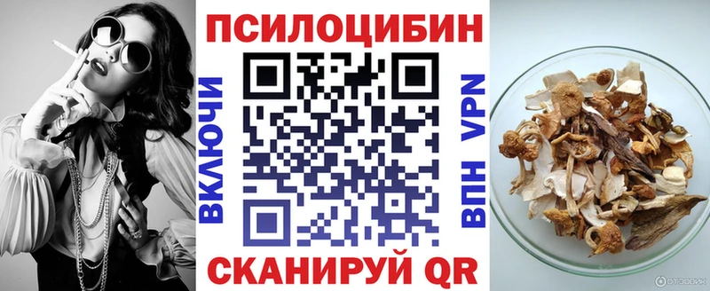 Псилоцибиновые грибы Psilocybe Велиж